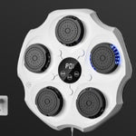 Home Fitness Intelligent Training Music Boxing Wall Target